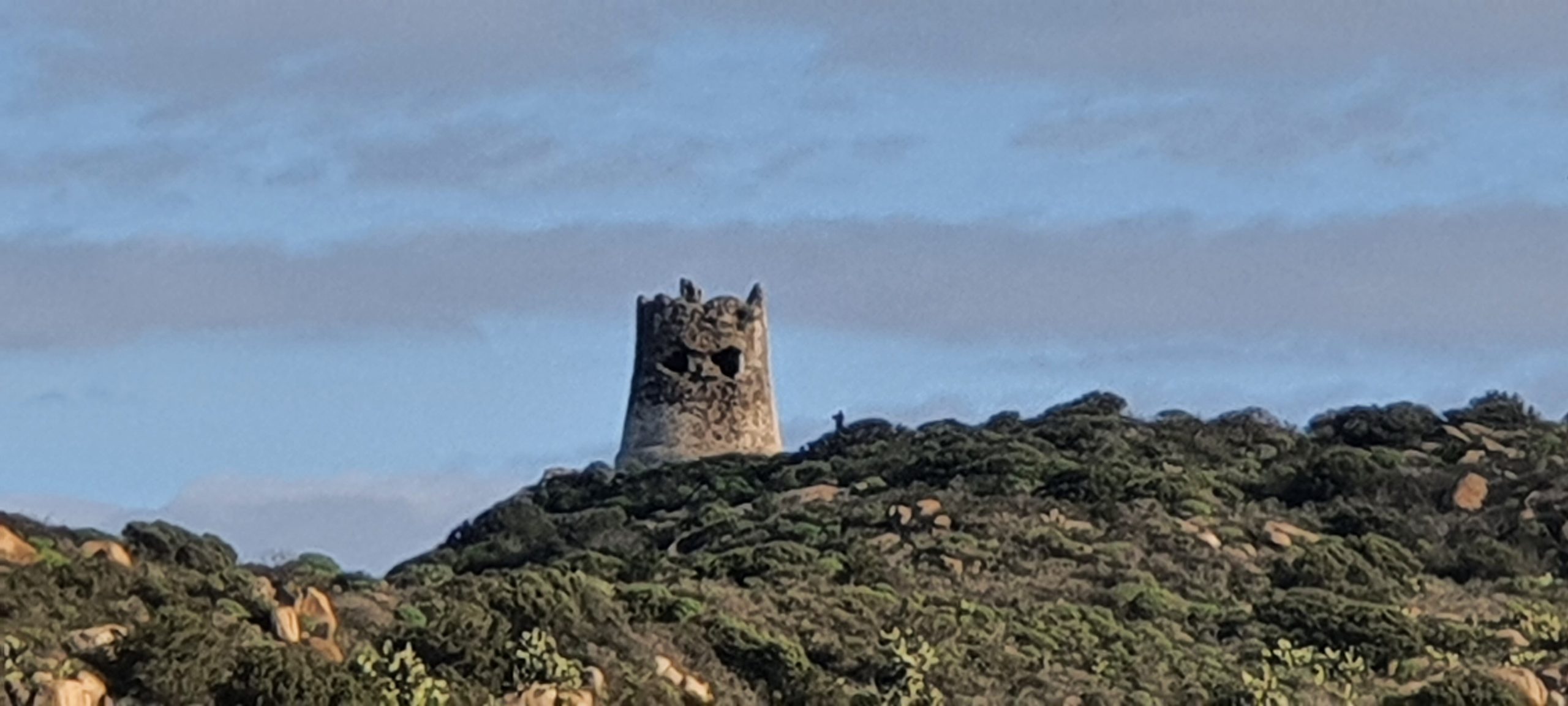 Torre di Porto Giunco vista da lontano