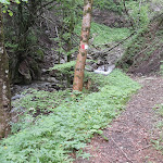 Scorcio del percorso per la cascata di Fuas